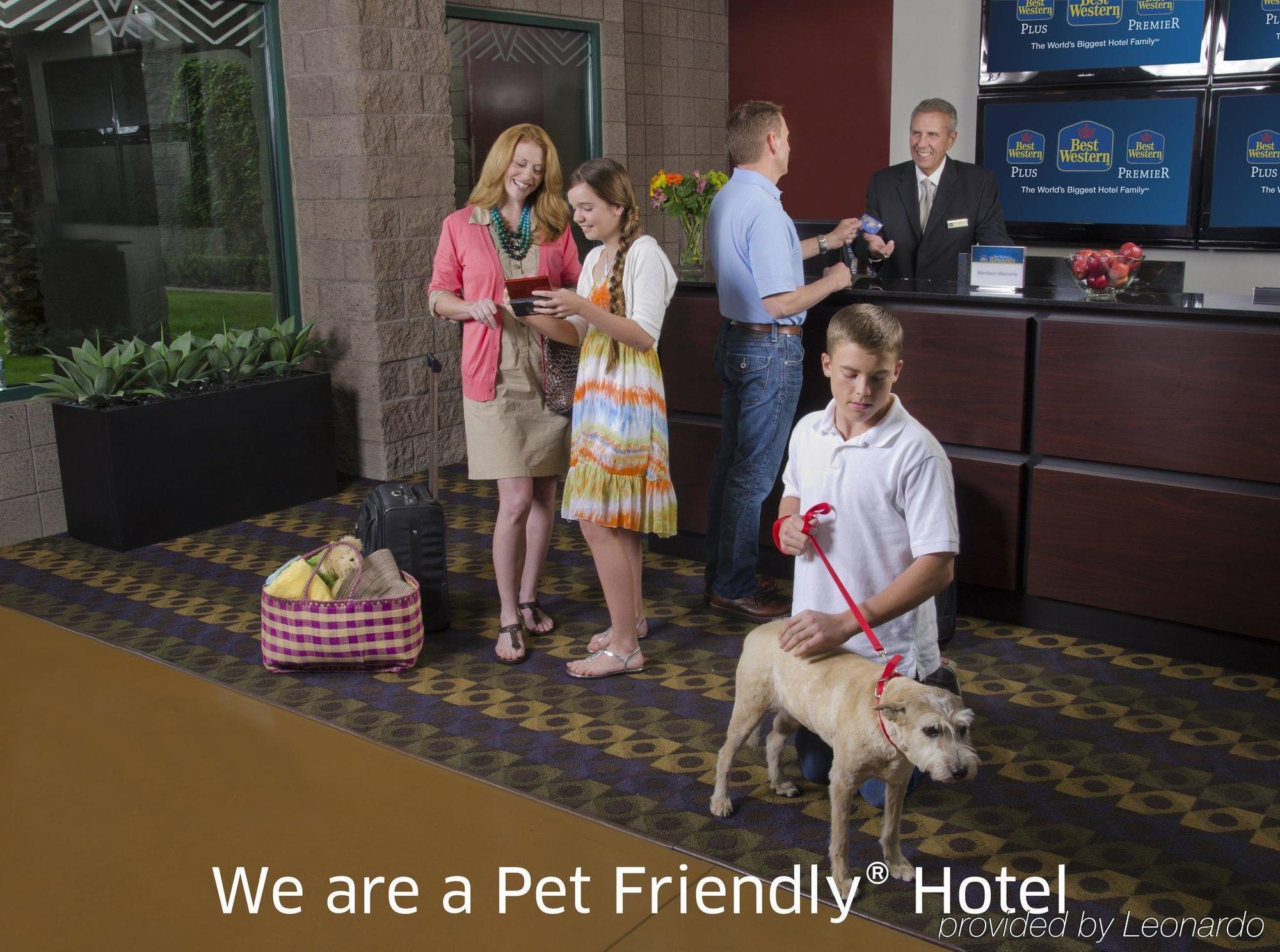 Best Western Plus City Centre Inn Эдмонтон Экстерьер фото